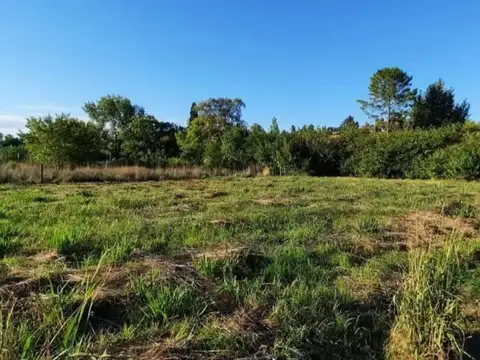 OPORTUNIDAD LOTE  DE 1565m2  C/ESCRITURA-TORTUGUITAS