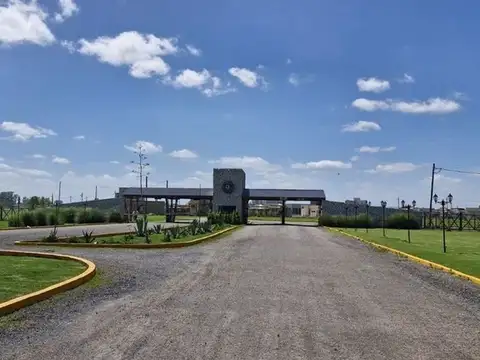 Calle Camino A Navarro