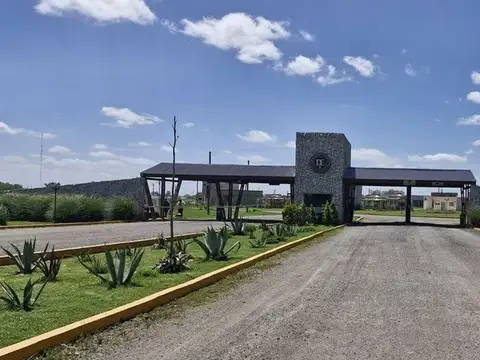 Calle Camino A Navarro