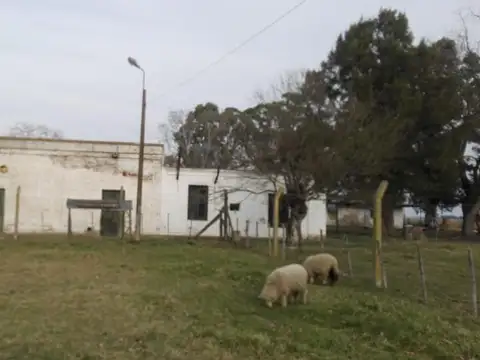 Provincia S/n