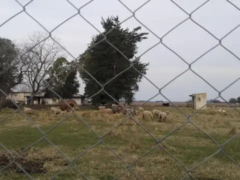 Quinta en Venta en Tandil, USD 140.000