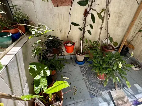 Depto Tipo Casa en Venta de 2 dormitorios