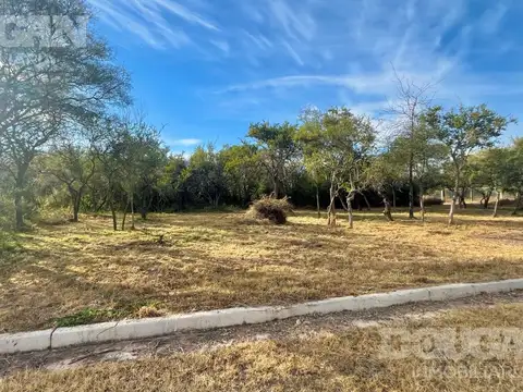 Terreno en Venta 39  mts Fondo