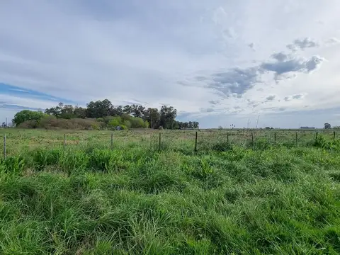 Campo de 41250 m² en venta