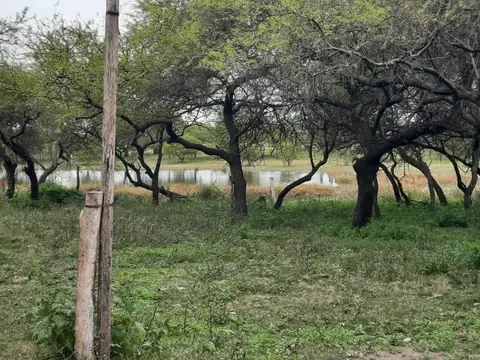 CAMPO DEL MEDIO A 2 KM DE RUTA 1 ACCESO ES DE ARENA UNA CALLE MUY TRANSITADA.