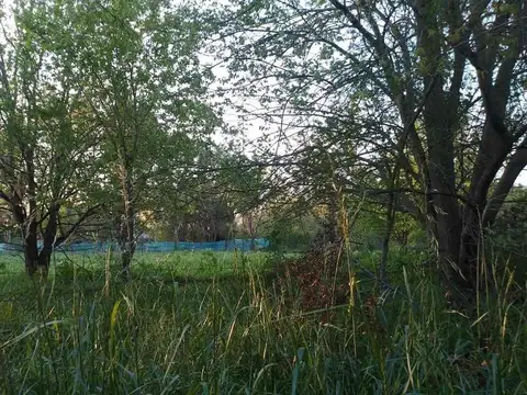 Terreno en Venta en Florencio Varela, USD 25.000