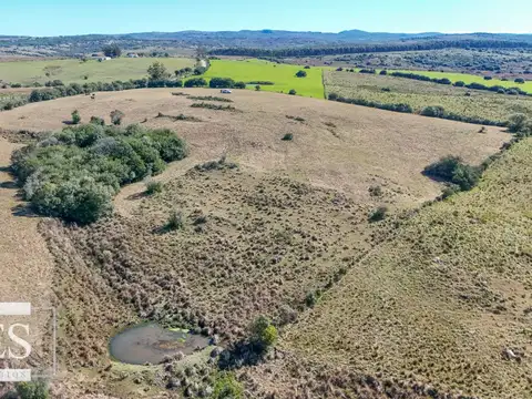 Chacra en venta de 4,5 ha al norte de ruta 9 Maldonado
