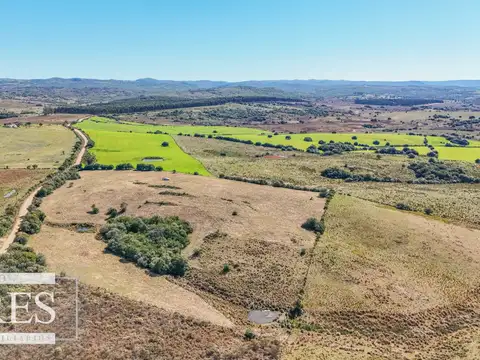 Chacra en venta de 4,5 ha al norte de ruta 9 Maldonado