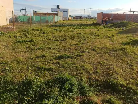 Terreno en Venta - Carlos Spegazzini
