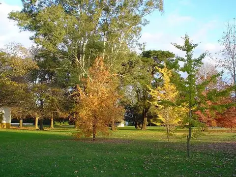 Av. Pres. Perón 2100