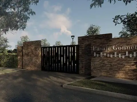 TERRENO A LA VENTA EN PASAJE GONNET