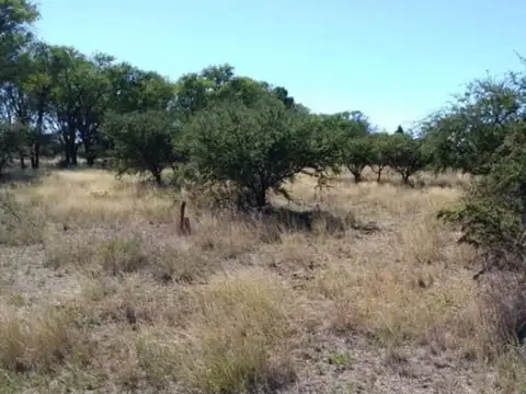 Terreno en Venta en Toay, USD 26.000
