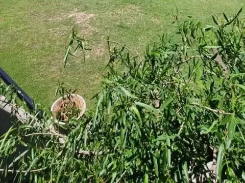 Venta de Lote con salida al rio en San Pedro. ¡Oportunidad Única!