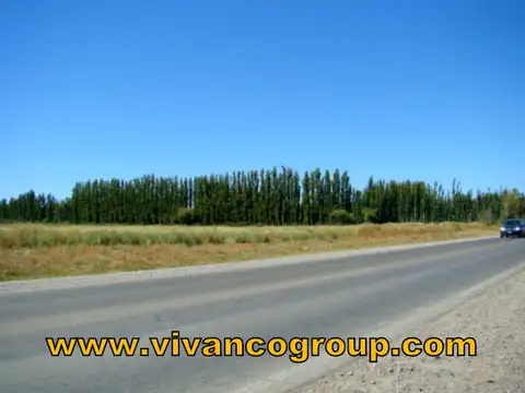 TERRENOS/FRACCIONES/LOTEOS - FRACCIONES INDUSTRIALES - VISTA ALEGRE