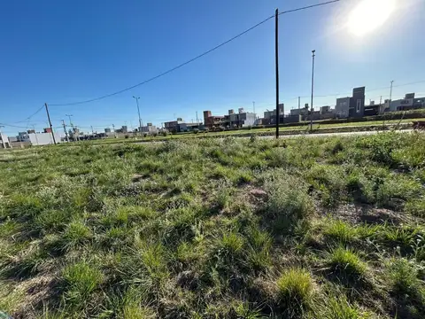 Terreno en Venta de 250,0 m2