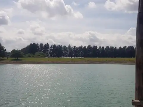 Venta 102 Hectareas Con Proyecto Avanzado en San Vicente