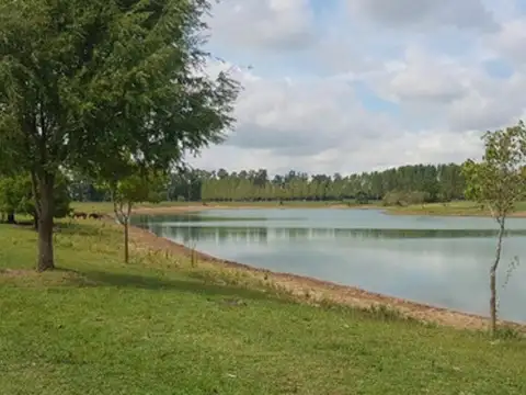 Venta 102 Hectareas Con Proyecto Avanzado en San Vicente