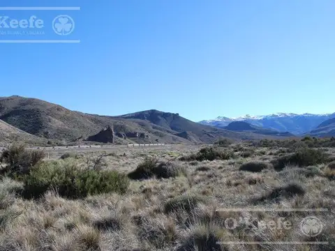 2,4 has con costa Rio Limay, Neuquen