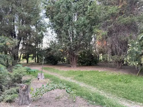 Campo en alquiler con casa y riego – El Solar