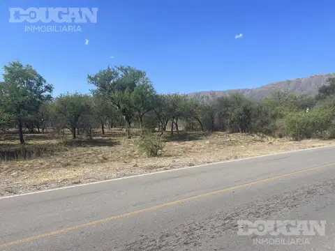 Terreno en Venta 104  mts Fondo