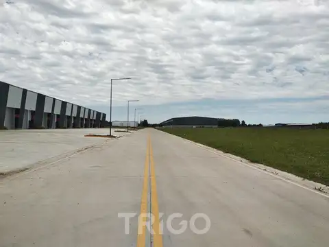 Depósito Nave Industrial a ESTRENAR en Canning alquiler 1500 m2