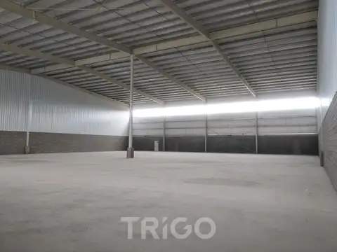 Depósito Nave Industrial a ESTRENAR en Canning alquiler 1500 m2