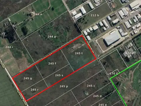 Campo 24 has. - Calle Jose Ingenieros - Burzaco