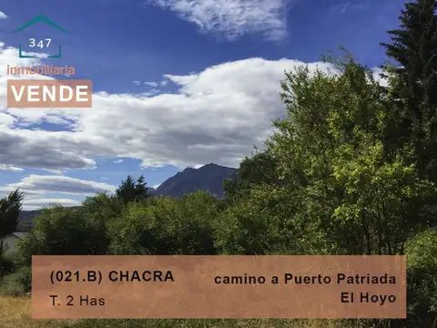 (021.B) EL HOYO (Rincon de Lobos) Chacra de 2Has