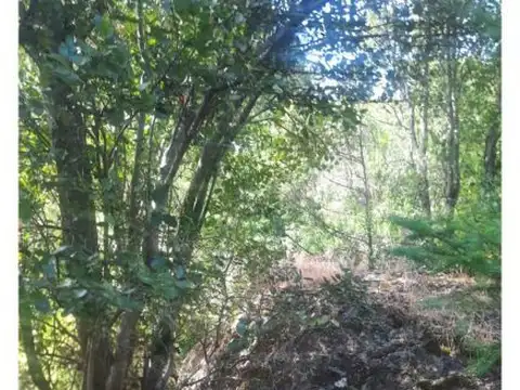 Terreno en Venta 98  mts Fondo