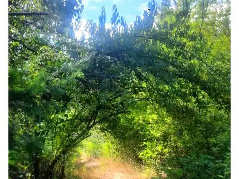 Terreno en Venta en El Hoyo, USD 80.000