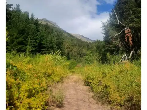 Rincón de Lobos El Hoyo