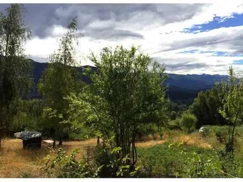 (021.B) EL HOYO (Rincon de Lobos) Chacra de 2Has