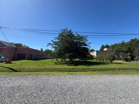 Las Perdices -fracc X