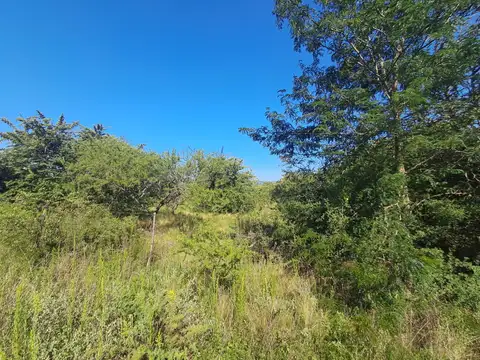 Terreno en Venta en Los Reartes, USD 12.000