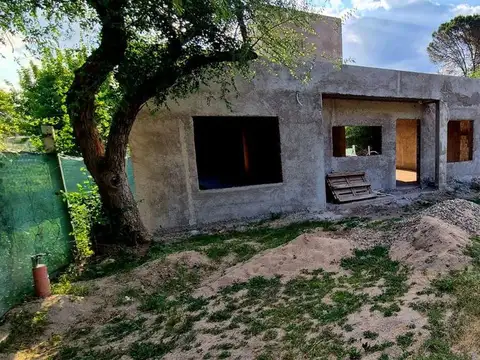 Los Algarrobos 100
