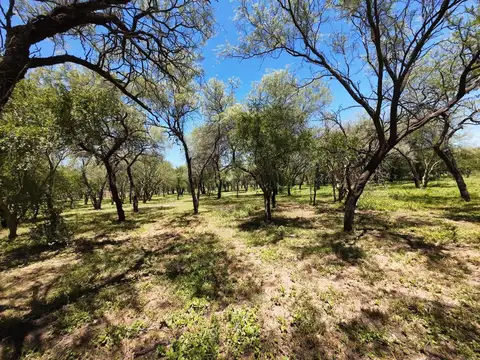 Terreno en Venta de 3000,0 m2