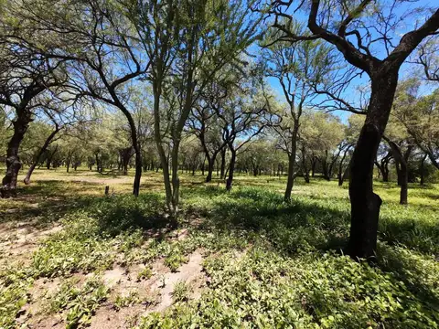 Terreno en Venta en Las Tapias, USD 25.000