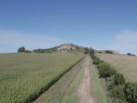 Terreno en Venta de 1000,0 m2