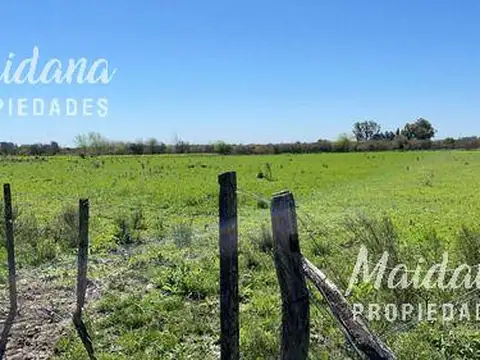 Chacra Sobre Ruta 20 Gualeguaychu!