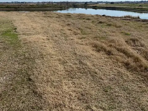 Terreno en Venta de 800,0 m2