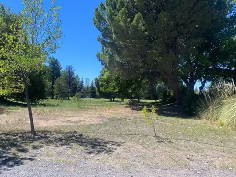 VENTA TERRENO NEUQUEN . ARROYITO COUNTRY GOLF . RUTA 237.