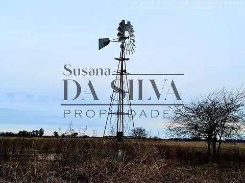 80 Ha. CAMPO AGRO-GANADERO. MARCOS PAZ