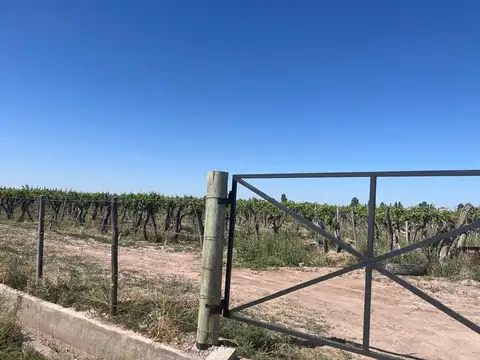 CARRIL CHIMBAS, TRES PORTEÑAS