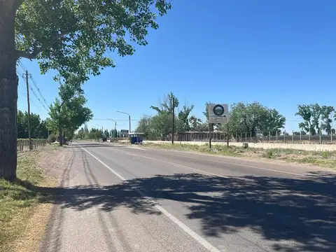 VENTA FINCA EN PRODUCCION TRES PORTEÑAS