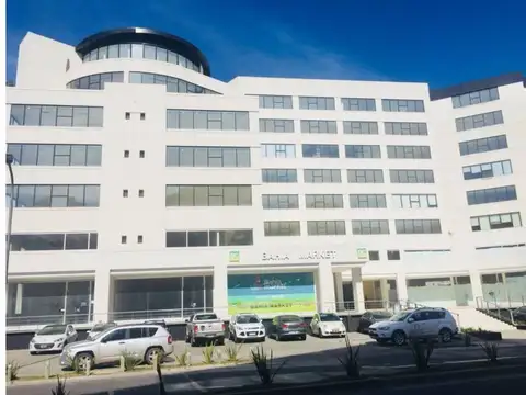 Estudios de bahia grande