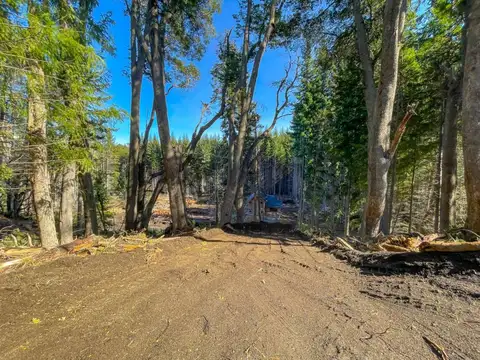 Los Fresnos 100, Piso 0