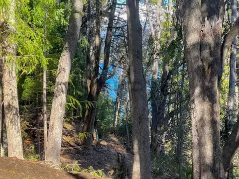 Venta lote Villa La Angostura