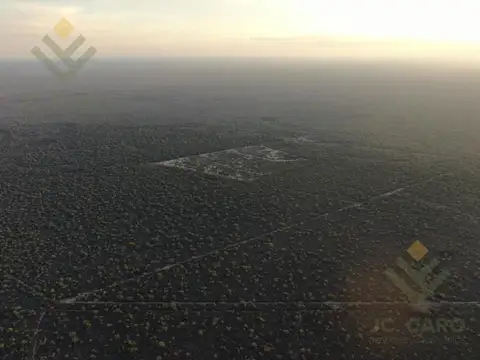 VENTA Campo Ganadero en Morillo Rivadavia
