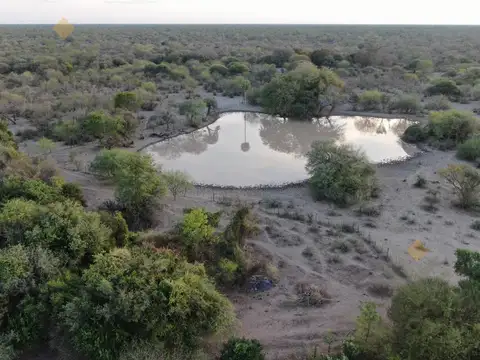 VENTA Campo Ganadero en Morillo Rivadavia