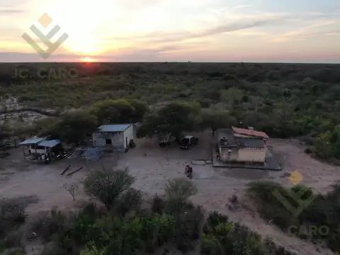 Ruta 81